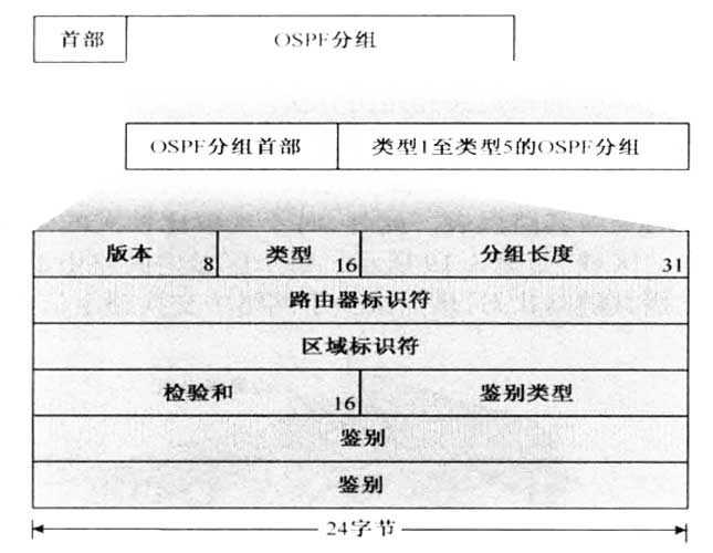 OSPF协议的分组格式