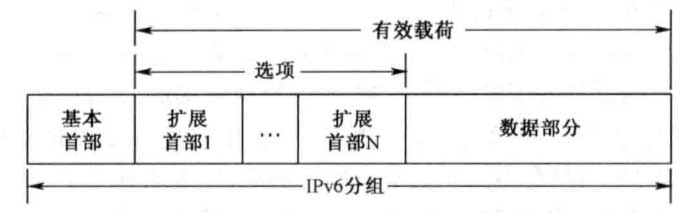 IPv6 分组格式